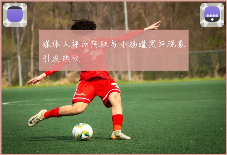 媒体人评论阿联与小杨遭黑评现象引发热议