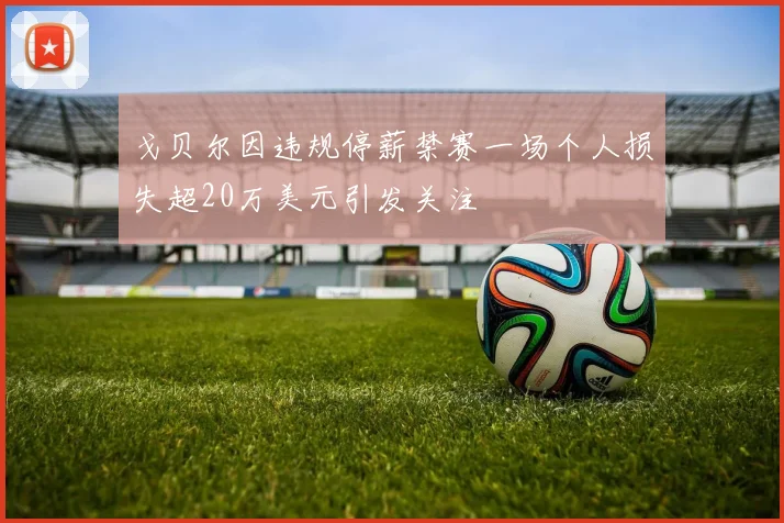 戈贝尔因违规停薪禁赛一场个人损失超20万美元引发关注