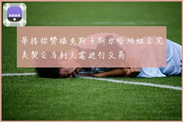 蒂格称赞福克斯卡斯尔哈珀组合完美契合马刺无需进行交易